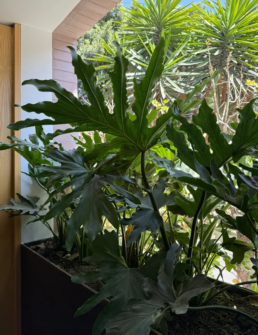 img_punto-luum_living-la-vida_07_6